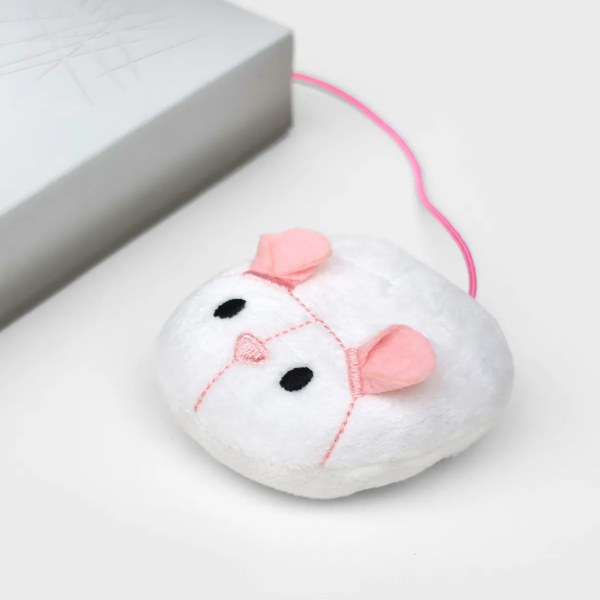 CAT SCRATCH LAPTOP