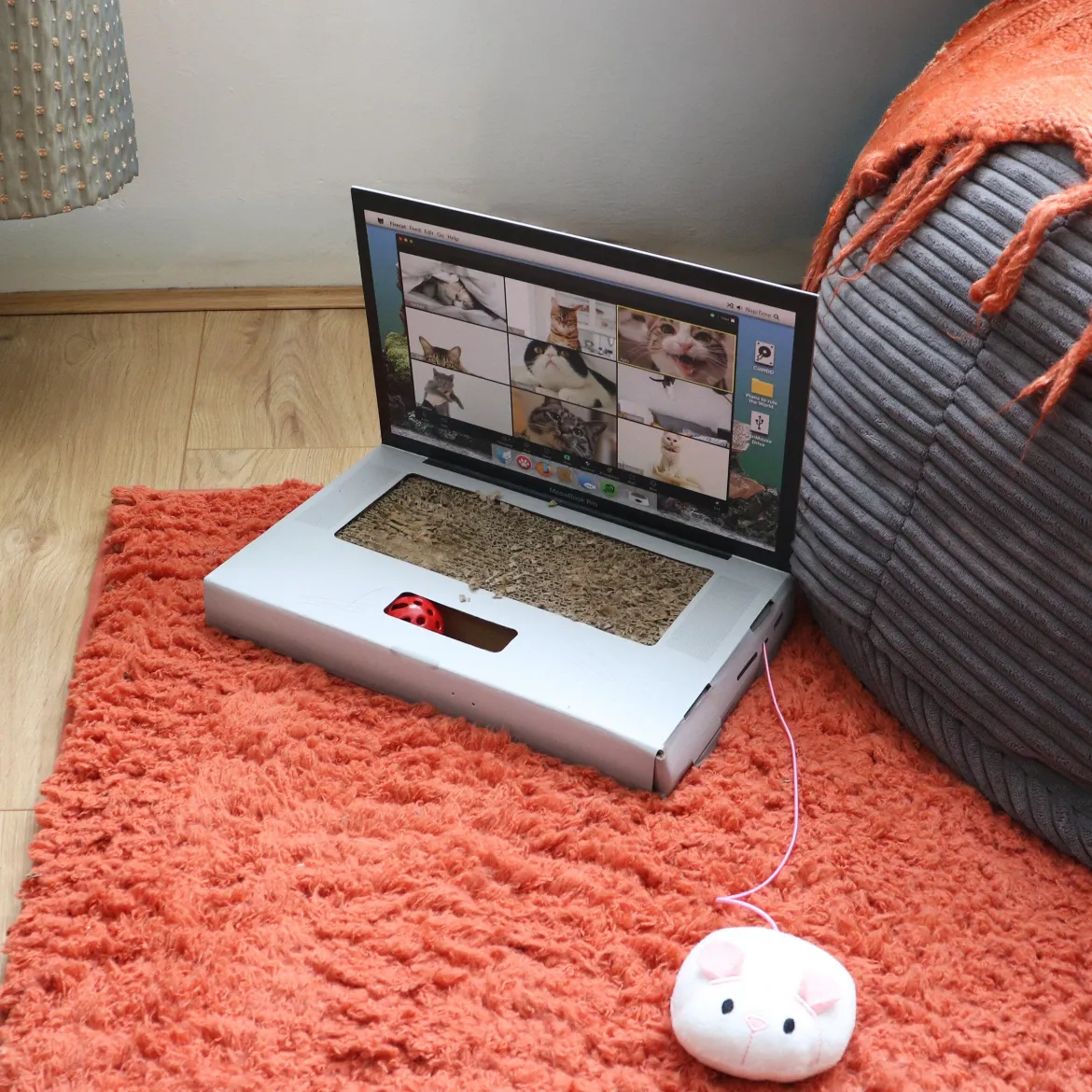 CAT SCRATCH LAPTOP