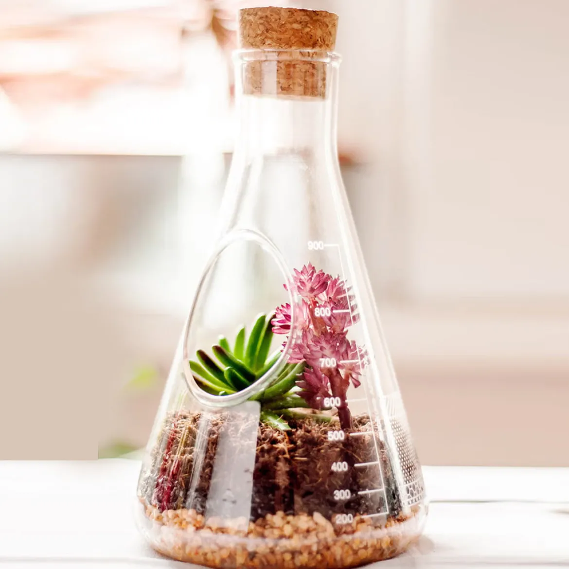 Chemistry Terrarium Kit