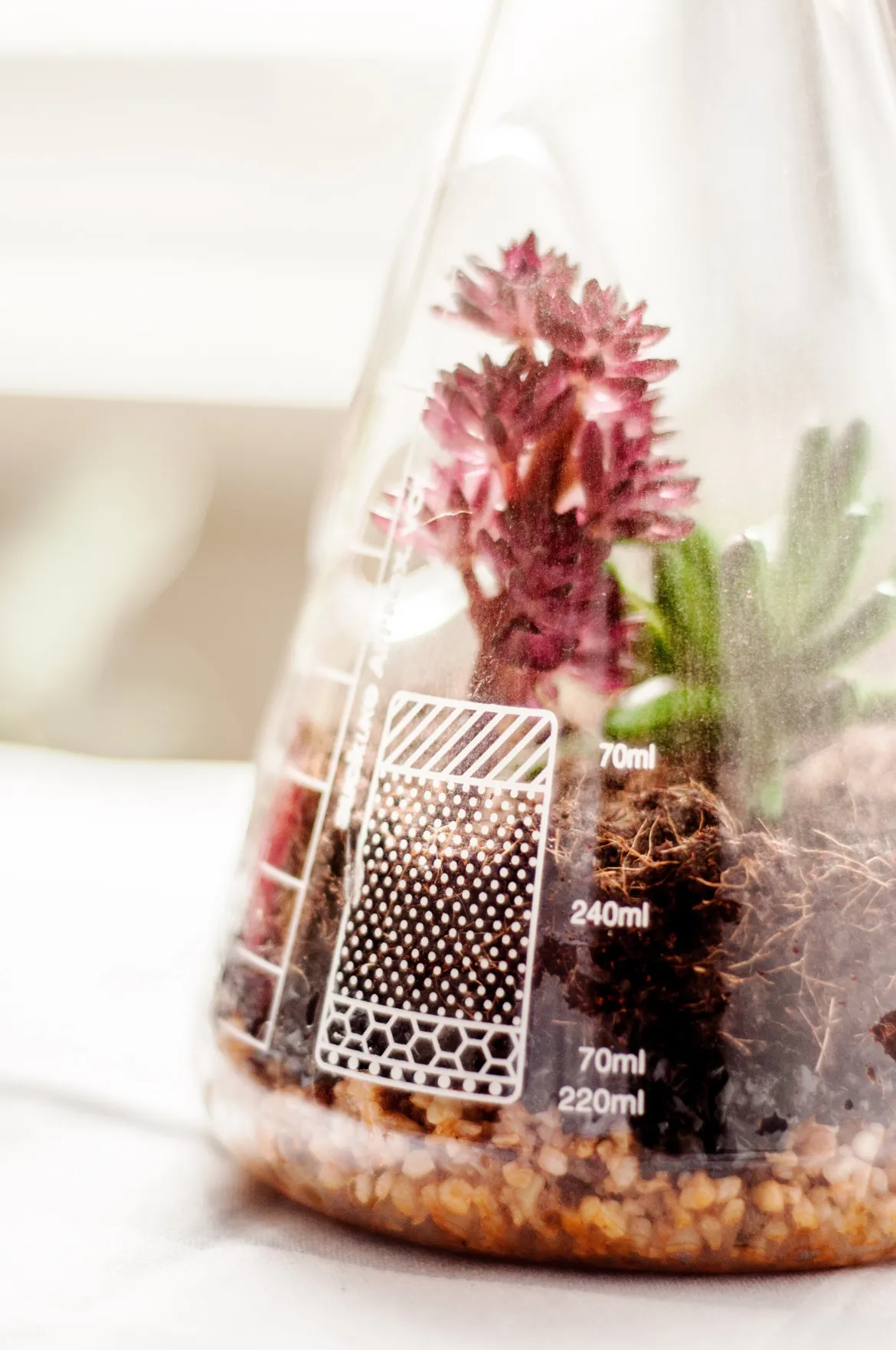 Chemistry Terrarium Kit