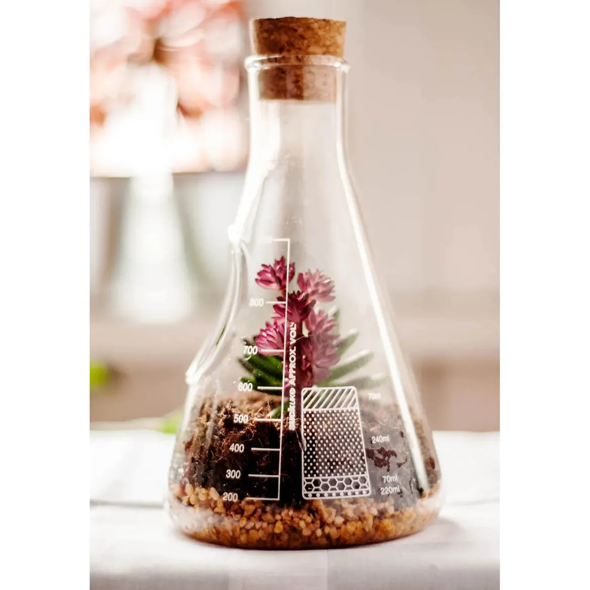 Chemistry Terrarium Kit