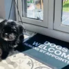 Dogs Welcome, Human By Appointment Door Mat
