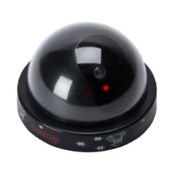 Dummy Santa Camera