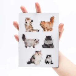 Fat Cat Magnets