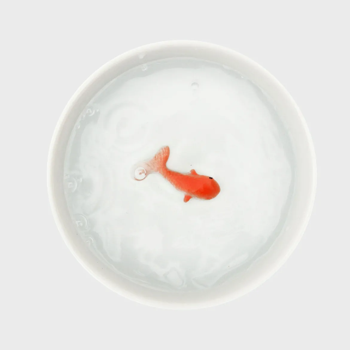 Goldfish Cat Bowl