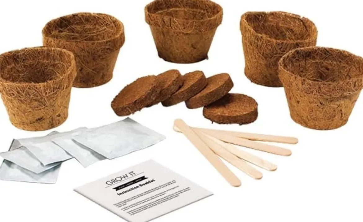 Killer Carnivorous Grow Kit
