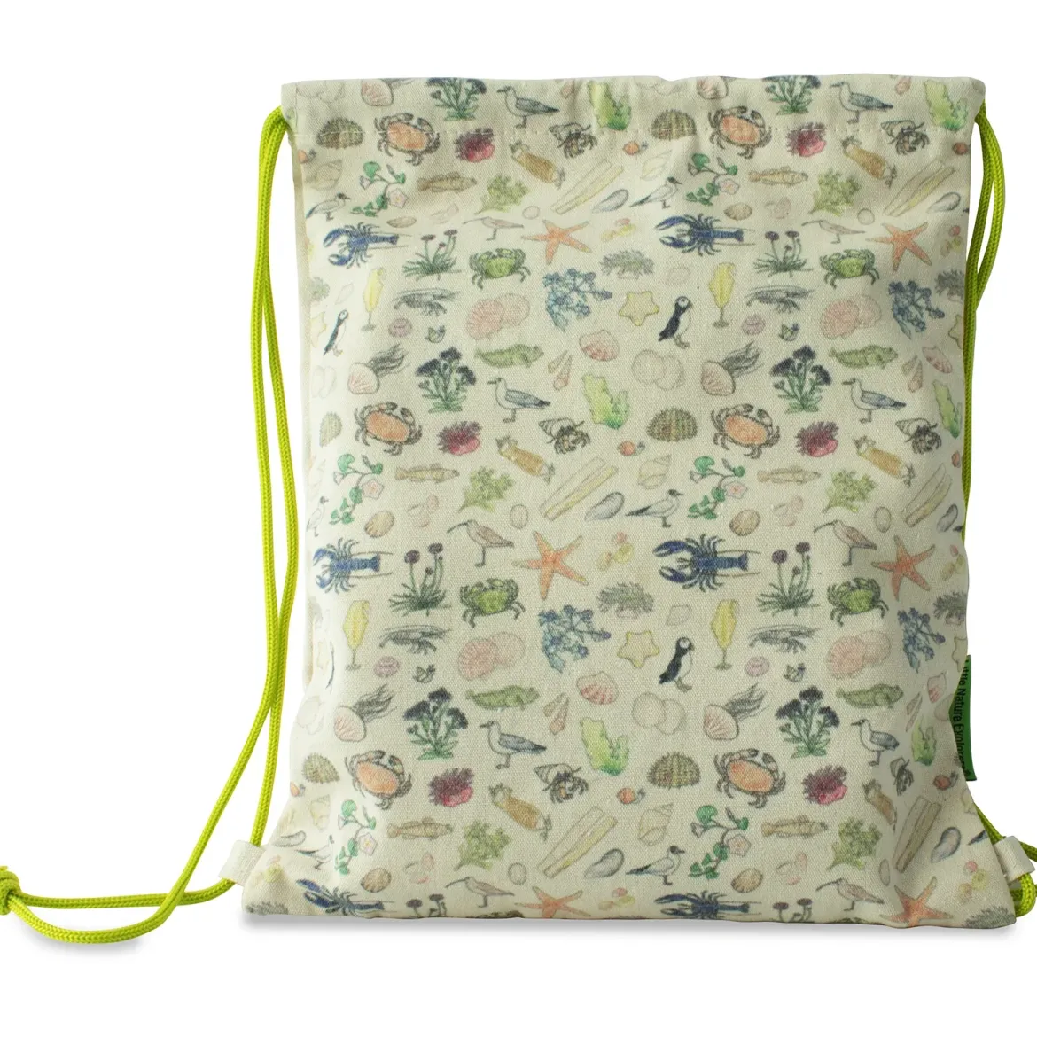 Little Nature Explorers - Travel Activity Set Seashore