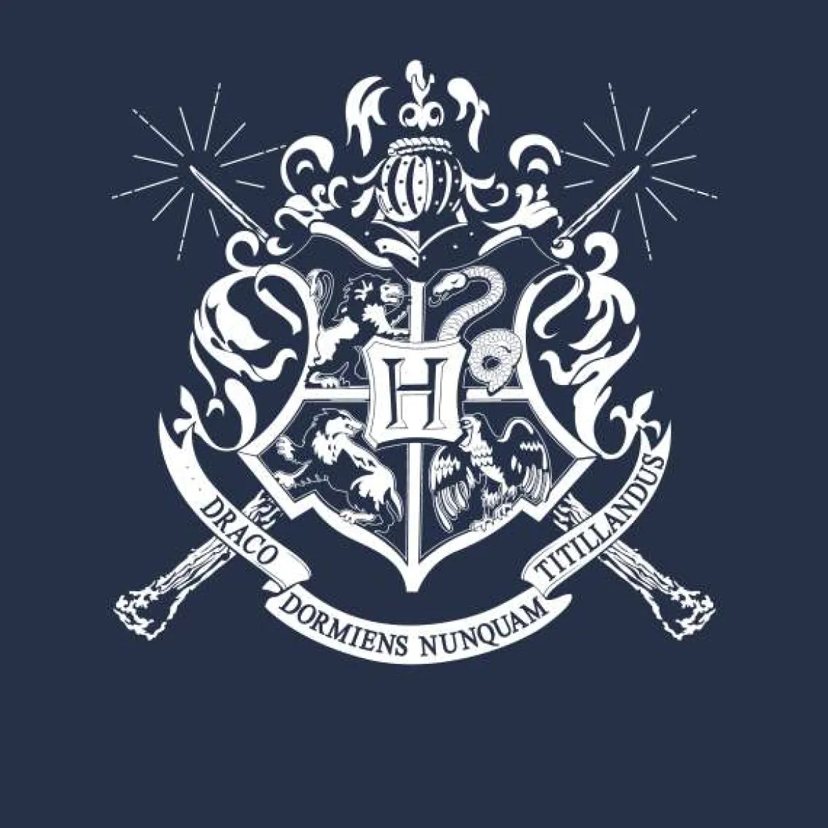 Official Harry Potter Hogwarts Crest Hoodie