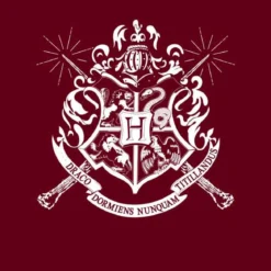 Official Harry Potter Hogwarts Crest Hoodie
