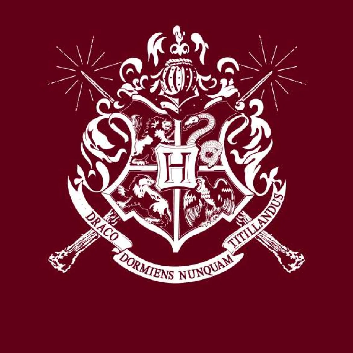 Official Harry Potter Hogwarts Crest Hoodie