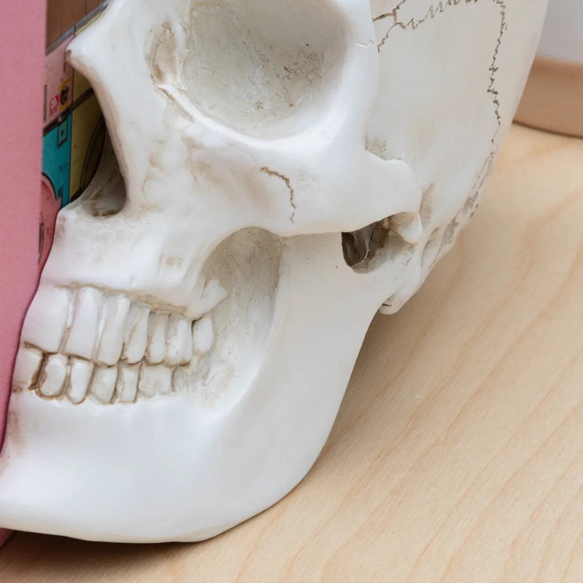 Skull Bookends
