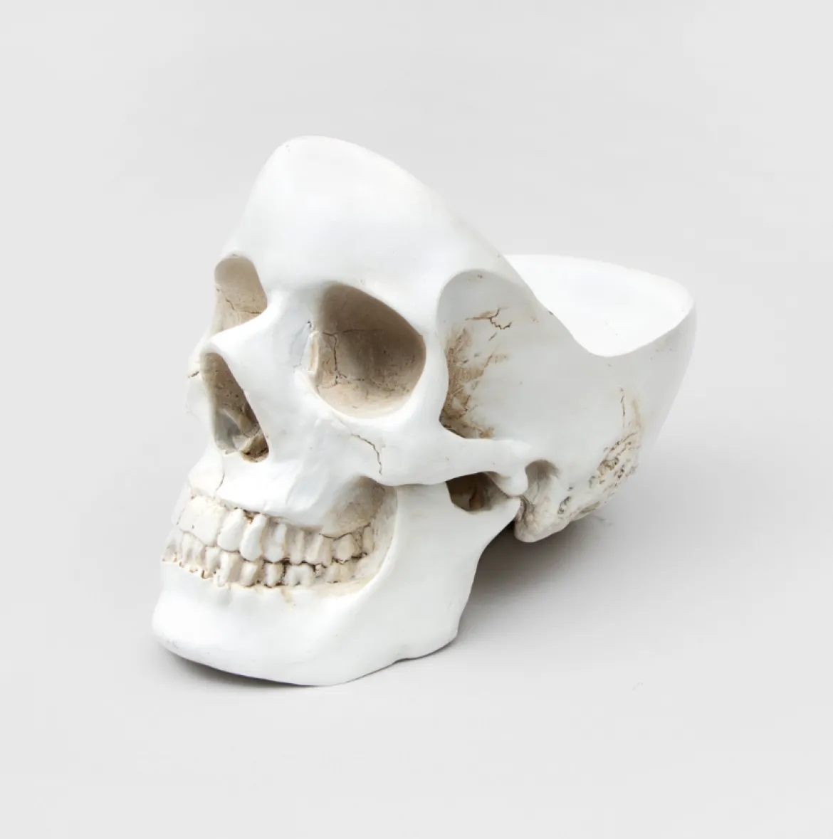 Skull Tidy