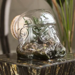 Star Wars Original Stormtrooper Terrarium