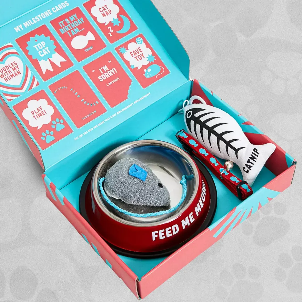 Wild Woofy Cat Starter Kit